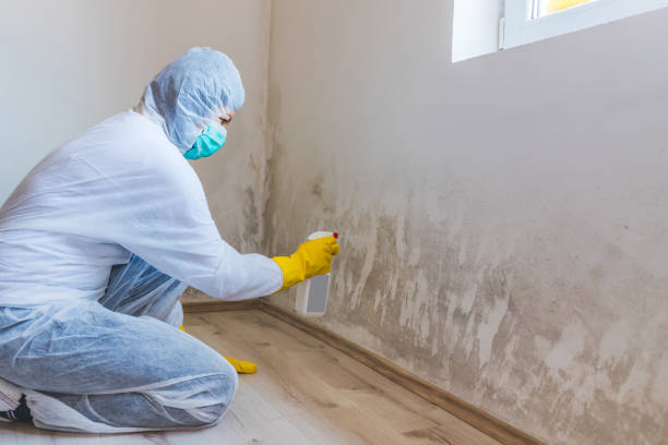 Mold Remediation specialist working in Midland
